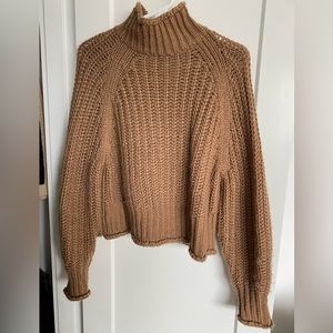 H&M Chunky Knit turtle neck